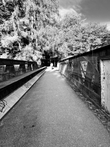 Bridge in the Scottish Highlands